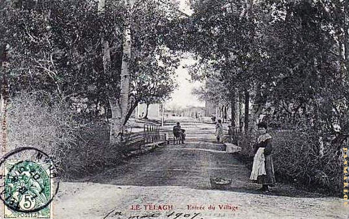 Telagh 15.jpg